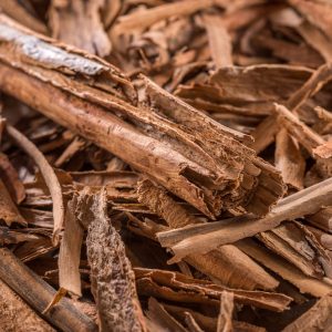 CANELA EN RAMA