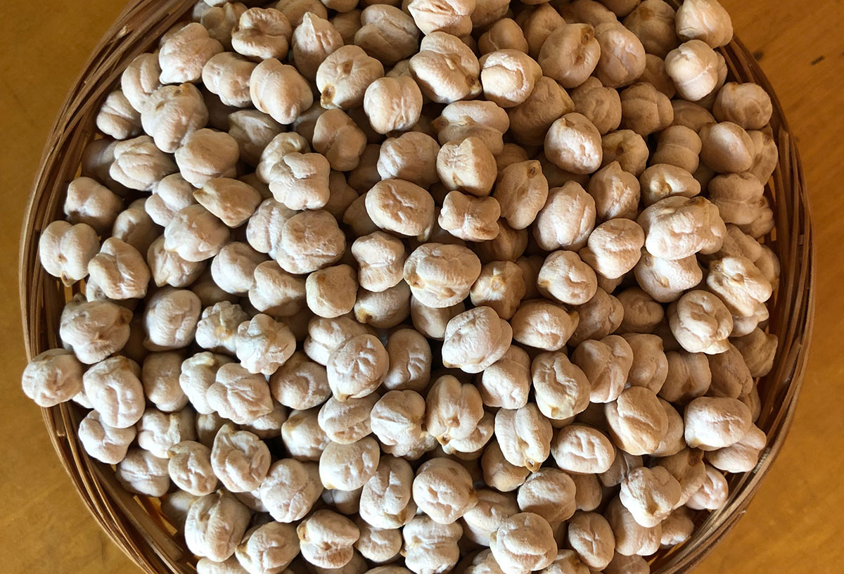 GARBANZOS LECHOSOS
